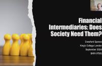 IPSIG Annual Webinar Lecture 2024 Photo